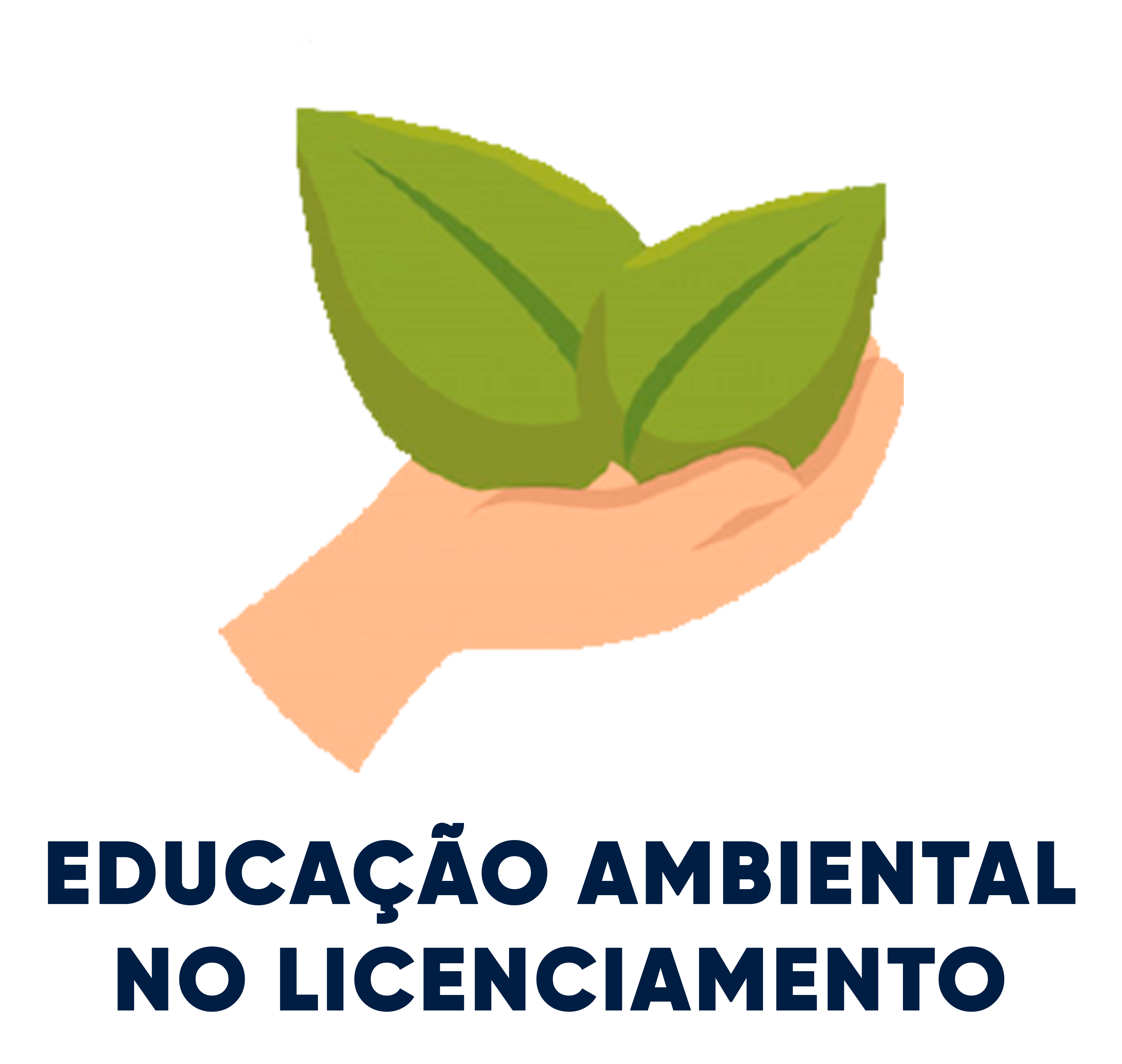 EDUCAÇÃO AMBIENTAL NO LICENCIAMENTO