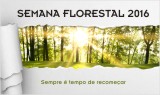 Foto Semana Florestal 2016 peq