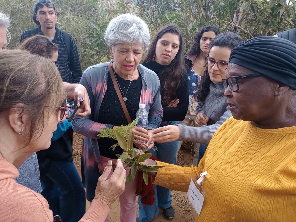 PLANTAS MEDICINAIS 1  dentro