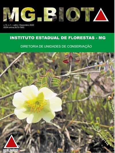 Capa MG.Biota v.13 n.1interna