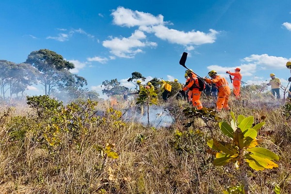 incendiointerna2