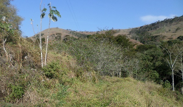 Area_de_descontaminação_em_Descoberto_2