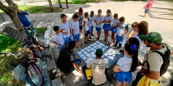 biodiverdidade-em-ação-dentro