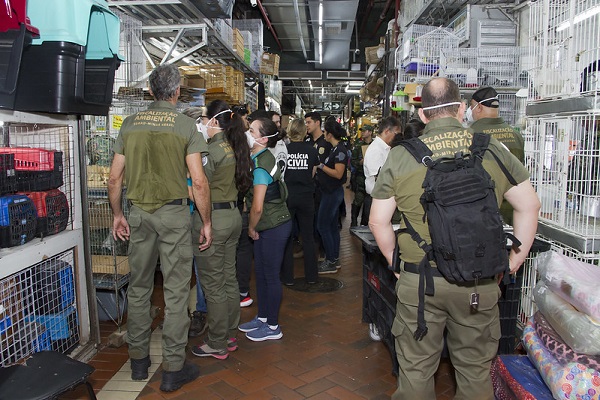 FISCALIZAÇÃO_MERCADO_DENTRO