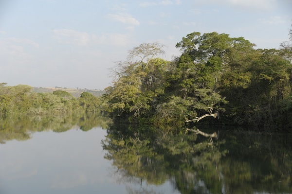 Fot-02_-_PE_Pau_Furado_-_Rio_Araguari_dentro_1